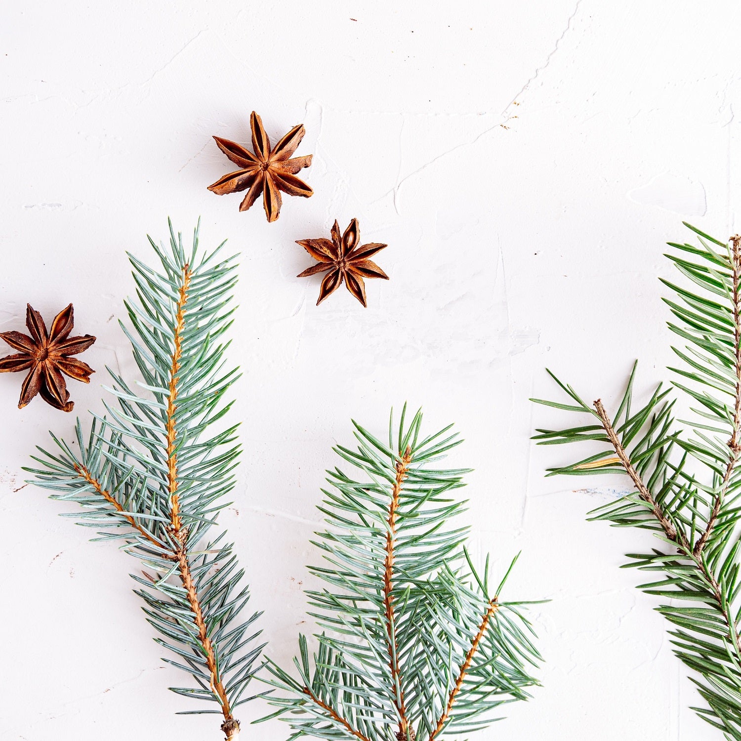 Weihnachten, Tannenzweige, Zimtstern auf weißem Grund