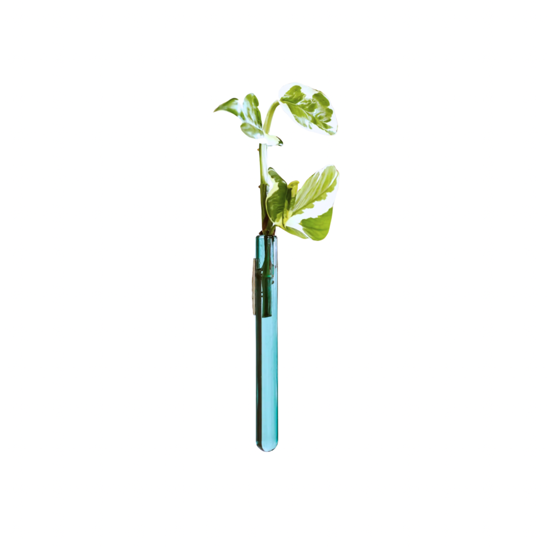 Kleine Wandvase