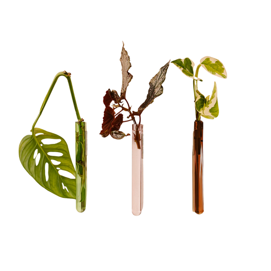 Kleine Wandvase