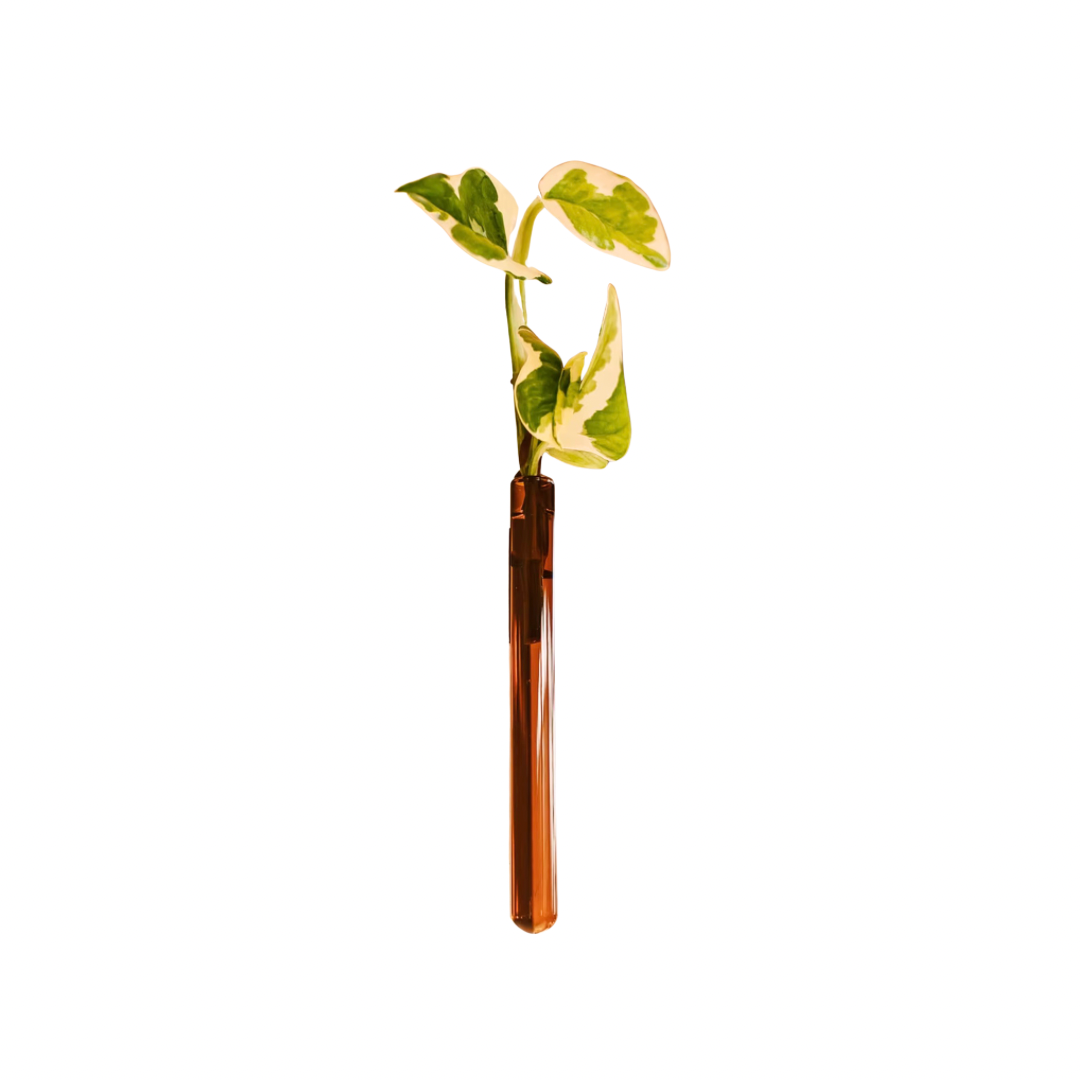 Kleine Wandvase