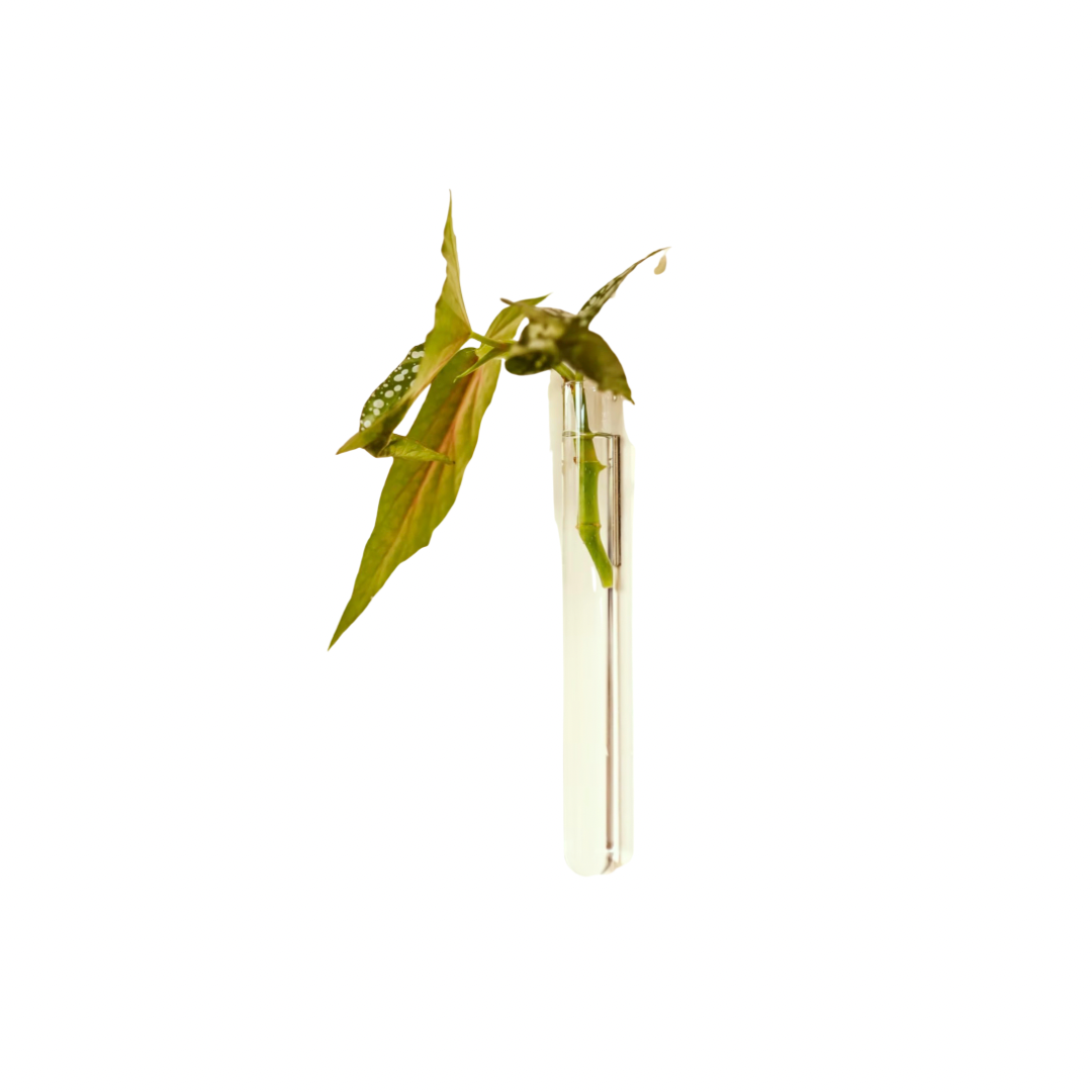 Kleine Wandvase