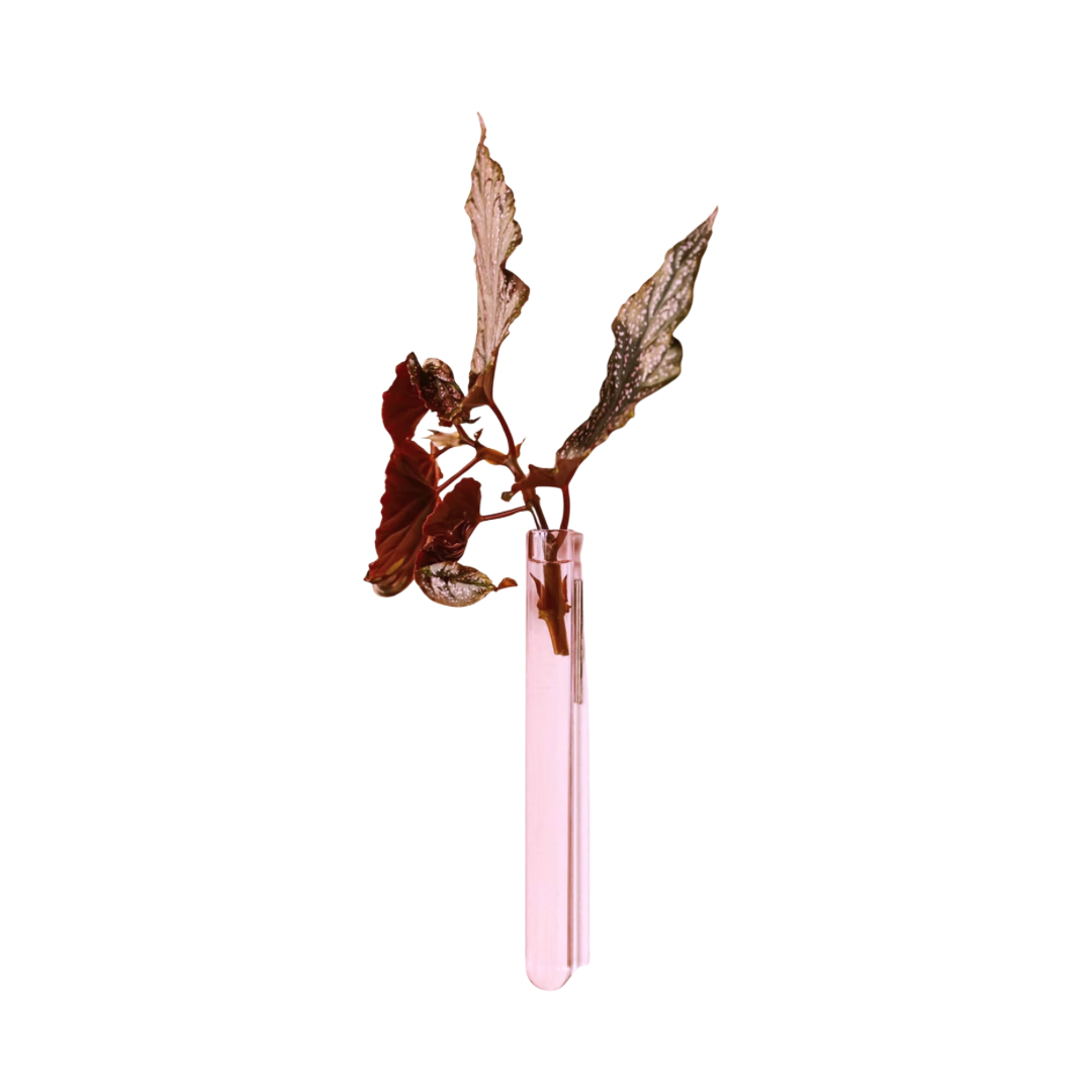 Kleine Wandvase