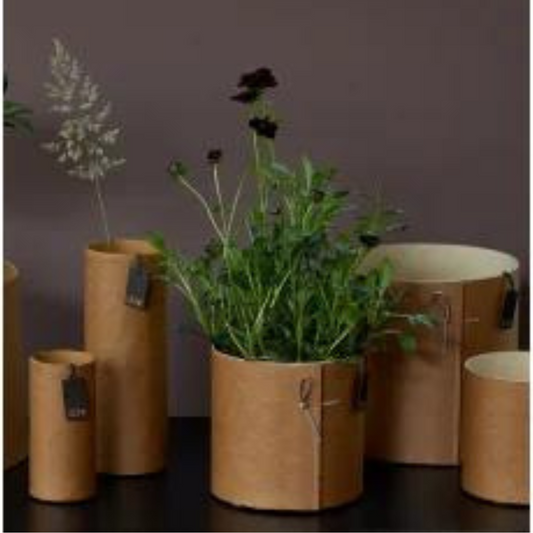 Paper Pot LOOP