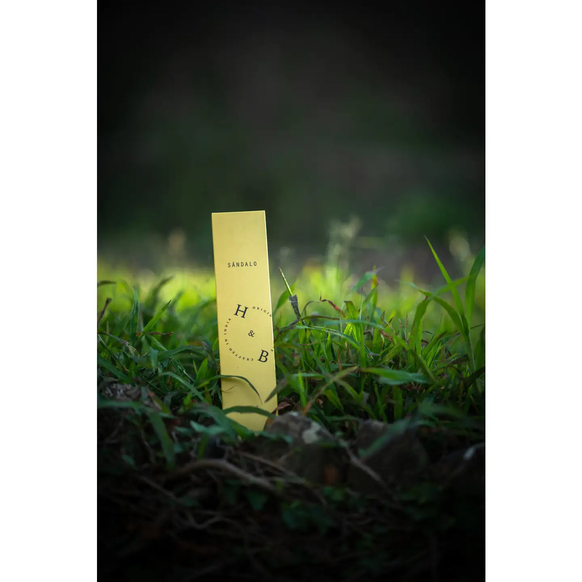 H&B Incense Räucherstäbchen Sándalo in grüner Naturkulisse